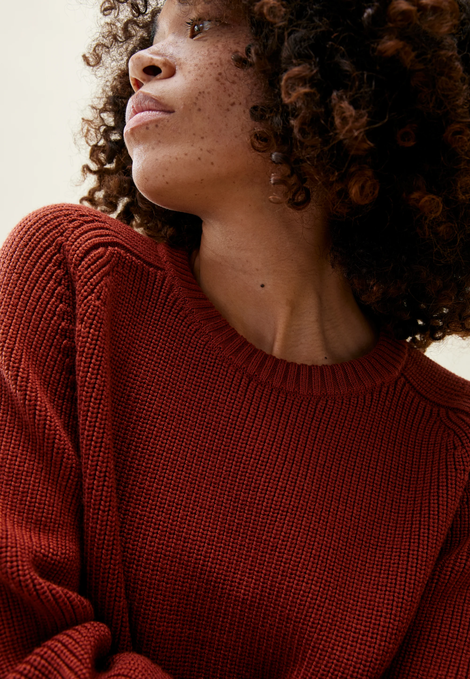 Le pull chaud (ancienne génération) - Image 3